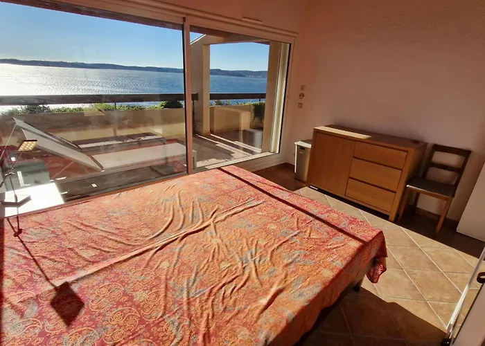 2 Pieces Avec Climatisation, Terrasse, Piscine Et Parking, Pres De La A Ste Maxime - Fr-1-780-90 דירה